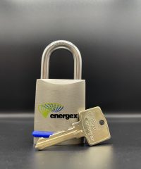 Crocodile Lock - 1 Key Padlock
