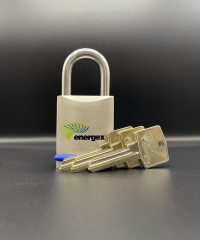 Crocodile Lock - 3 Key Padlock
