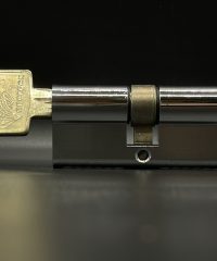 Crocodile Lock - Energex Security Door Cylinder
